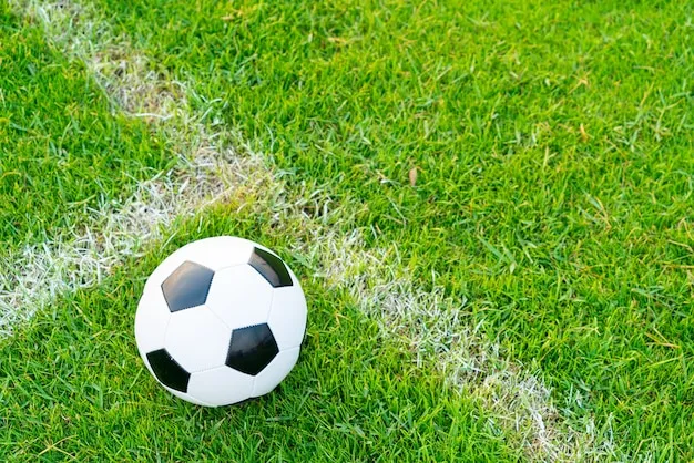 西甲联赛体育 体育盛况